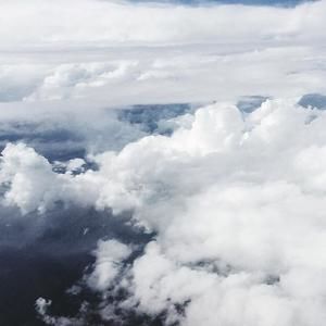 Meet your Posher, Willow